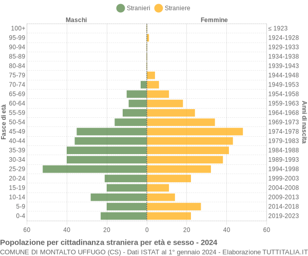 Grafico cittadini stranieri - Montalto Uffugo 2024