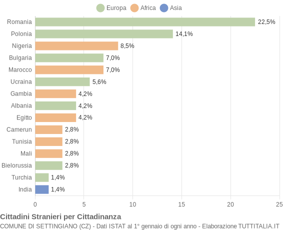 Grafico cittadinanza stranieri - Settingiano 2017