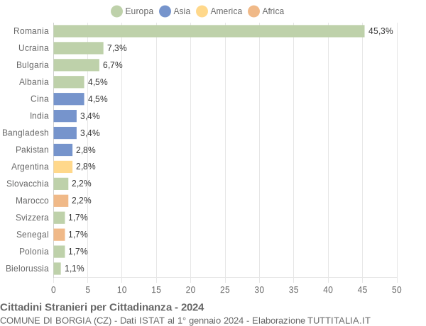 Grafico cittadinanza stranieri - Borgia 2024