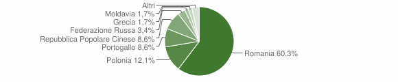 Grafico cittadinanza stranieri - San Sosti 2010