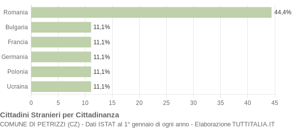 Grafico cittadinanza stranieri - Petrizzi 2008