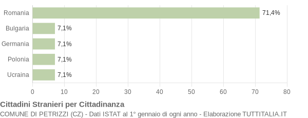 Grafico cittadinanza stranieri - Petrizzi 2009