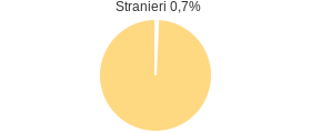 Percentuale cittadini stranieri Comune di Petrizzi (CZ)