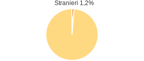 Percentuale cittadini stranieri Comune di Petrizzi (CZ)