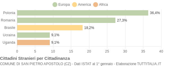 Grafico cittadinanza stranieri - San Pietro Apostolo 2009