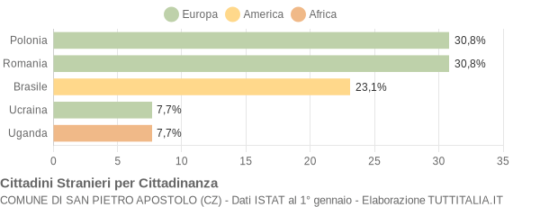 Grafico cittadinanza stranieri - San Pietro Apostolo 2010