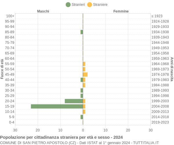 Grafico cittadini stranieri - San Pietro Apostolo 2024