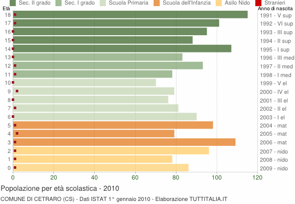 Grafico Popolazione in età scolastica - Cetraro 2010