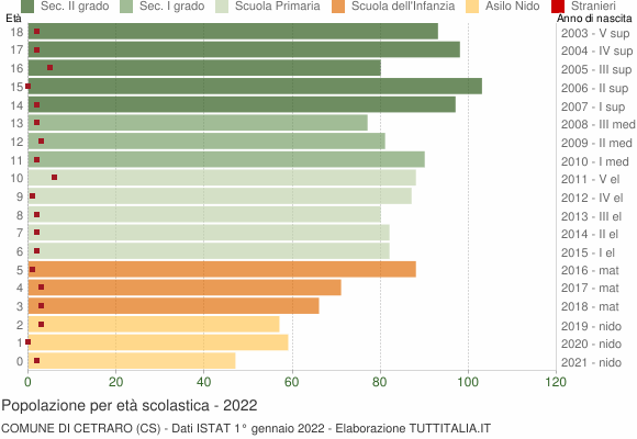 Grafico Popolazione in età scolastica - Cetraro 2022