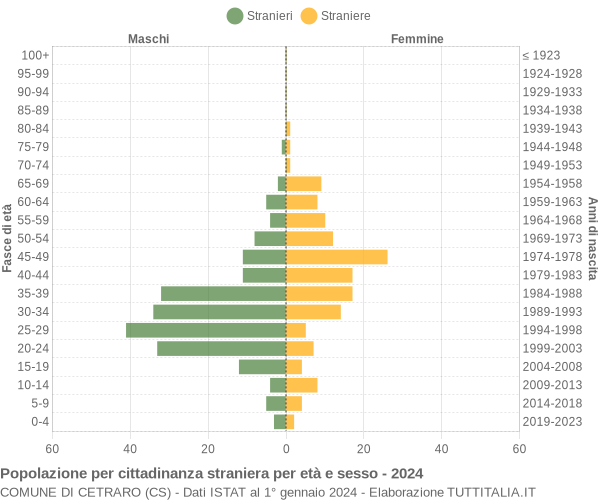 Grafico cittadini stranieri - Cetraro 2024