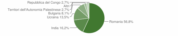 Grafico cittadinanza stranieri - Careri 2010