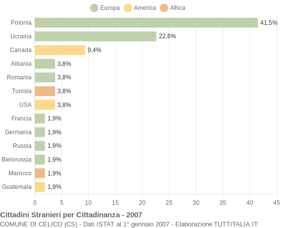 Grafico cittadinanza stranieri - Celico 2007