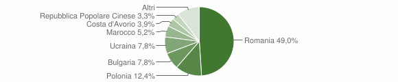 Grafico cittadinanza stranieri - Celico 2016