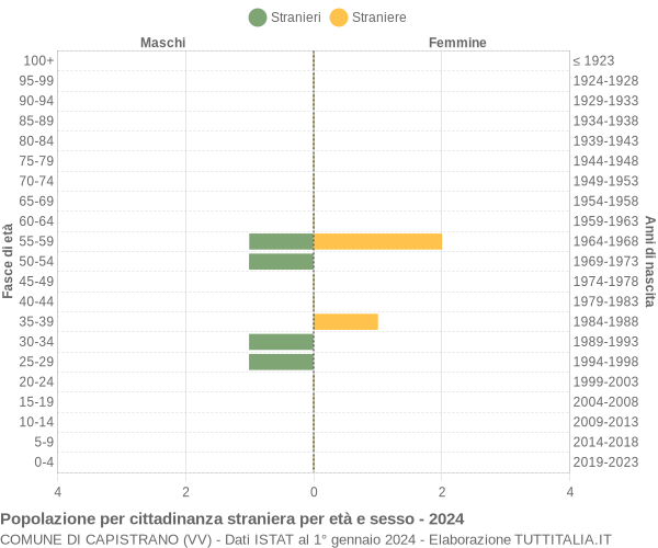 Grafico cittadini stranieri - Capistrano 2024