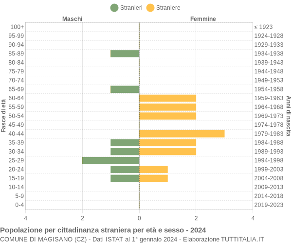 Grafico cittadini stranieri - Magisano 2024