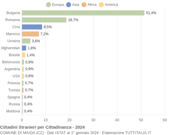 Grafico cittadinanza stranieri - Maida 2024