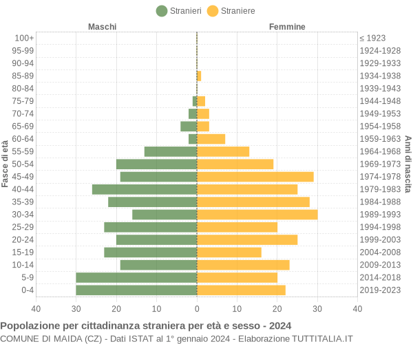 Grafico cittadini stranieri - Maida 2024