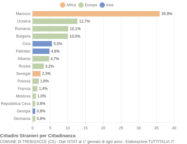 Grafico cittadinanza stranieri - Trebisacce 2011