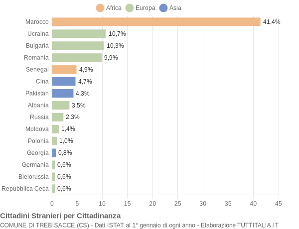 Grafico cittadinanza stranieri - Trebisacce 2012