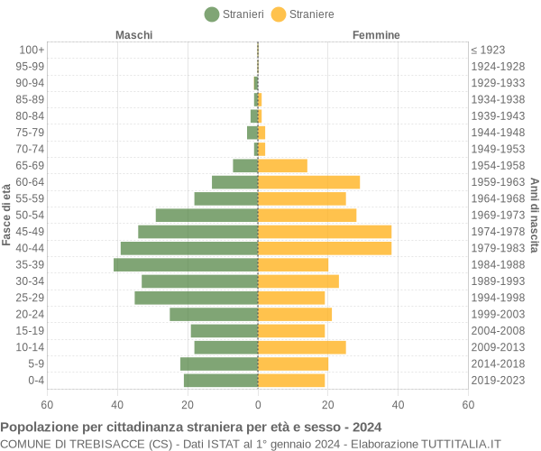 Grafico cittadini stranieri - Trebisacce 2024