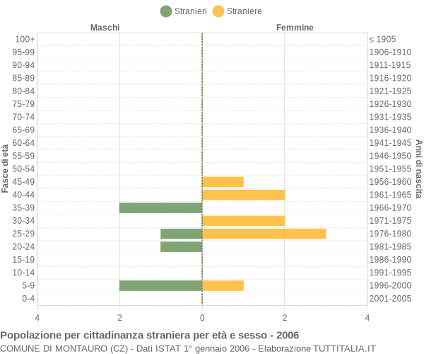 Grafico cittadini stranieri - Montauro 2006