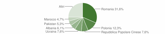 Grafico cittadinanza stranieri - Scalea 2008