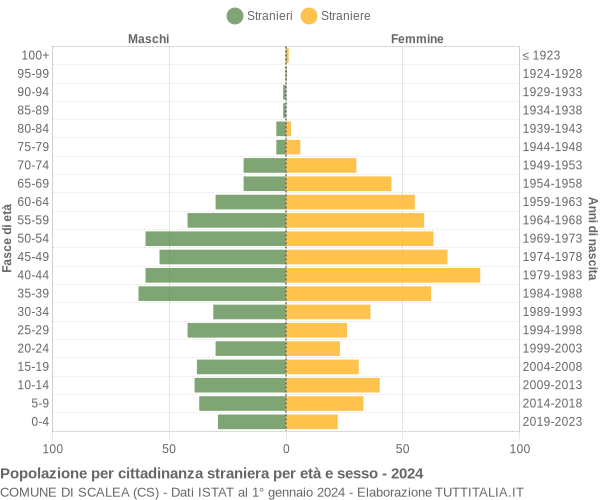 Grafico cittadini stranieri - Scalea 2024