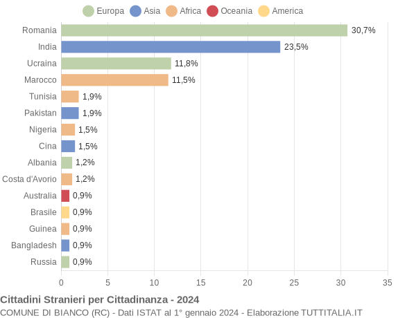 Grafico cittadinanza stranieri - Bianco 2024