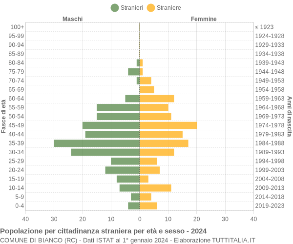 Grafico cittadini stranieri - Bianco 2024