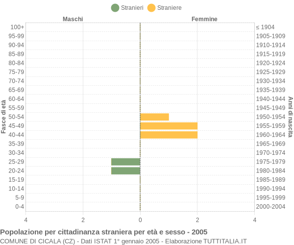 Grafico cittadini stranieri - Cicala 2005