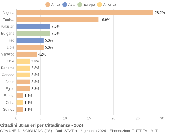 Grafico cittadinanza stranieri - Scigliano 2024