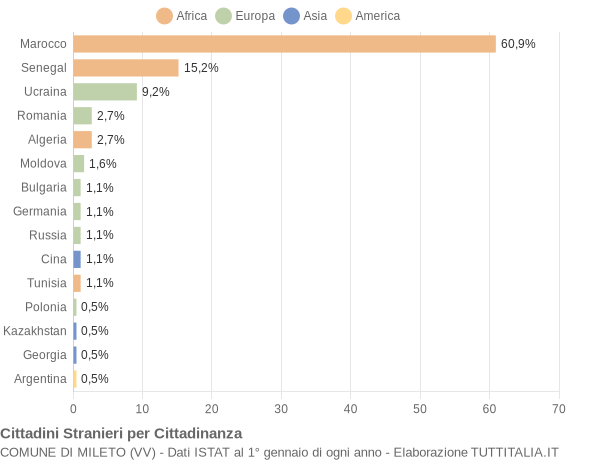 Grafico cittadinanza stranieri - Mileto 2005