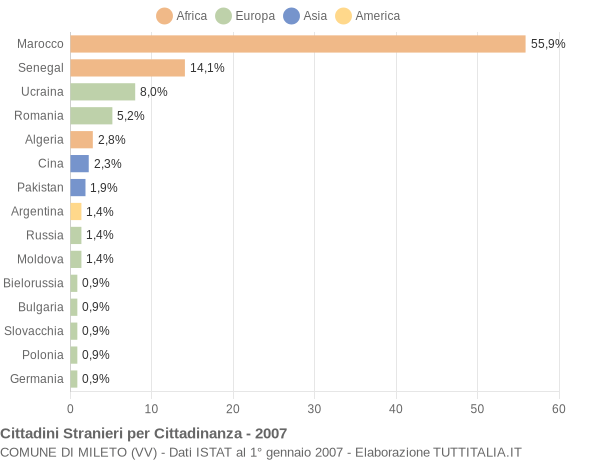 Grafico cittadinanza stranieri - Mileto 2007