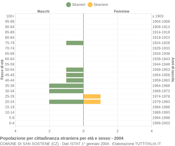 Grafico cittadini stranieri - San Sostene 2004