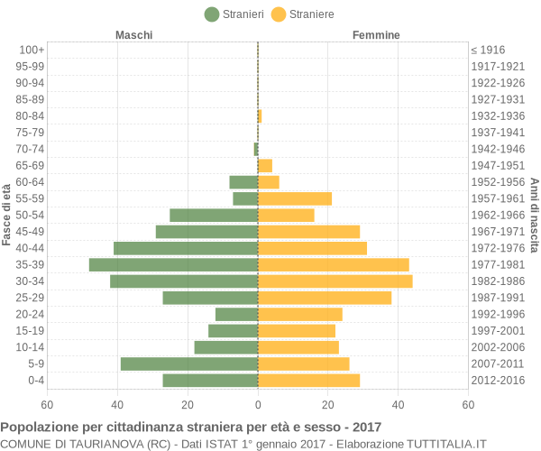 Grafico cittadini stranieri - Taurianova 2017