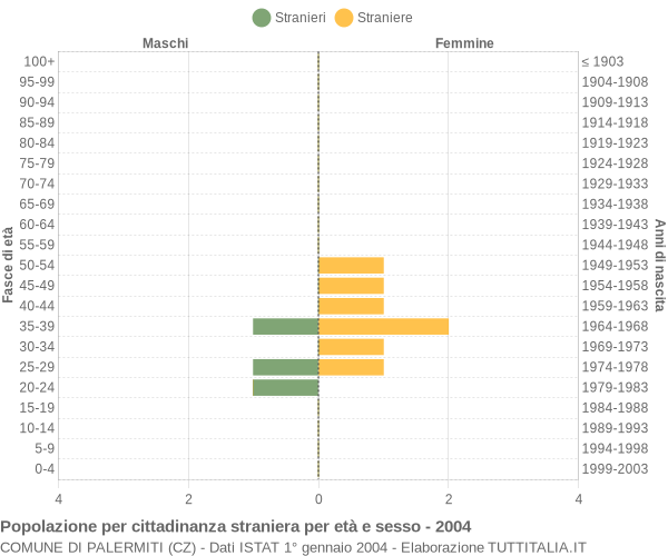 Grafico cittadini stranieri - Palermiti 2004