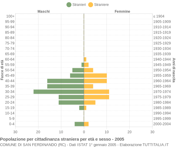 Grafico cittadini stranieri - San Ferdinando 2005