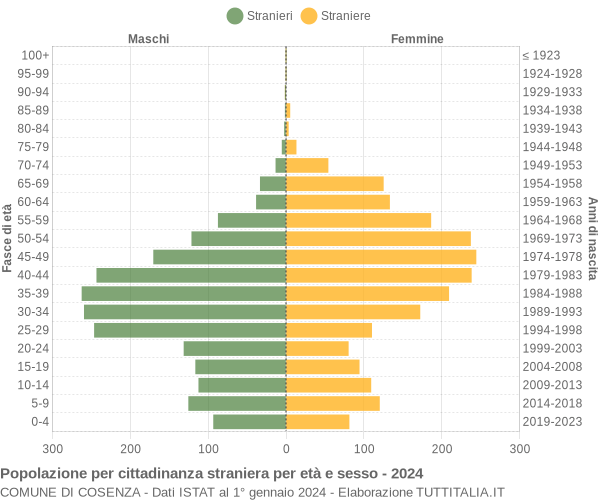 Grafico cittadini stranieri - Cosenza 2024