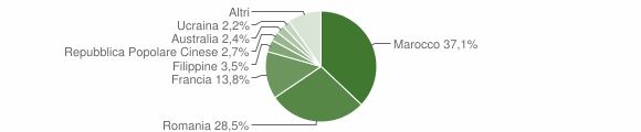 Grafico cittadinanza stranieri - Polistena 2008