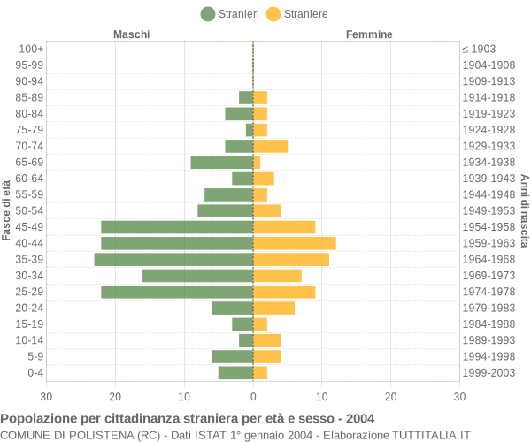 Grafico cittadini stranieri - Polistena 2004