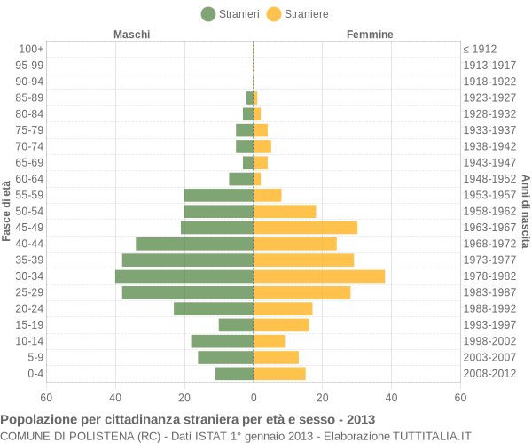 Grafico cittadini stranieri - Polistena 2013