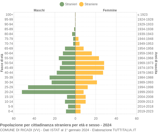 Grafico cittadini stranieri - Ricadi 2024