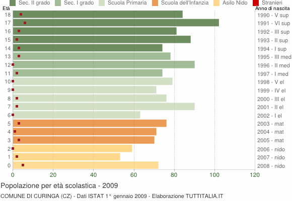 Grafico Popolazione in età scolastica - Curinga 2009