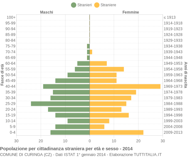 Grafico cittadini stranieri - Curinga 2014