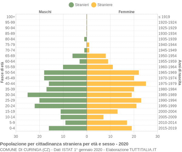 Grafico cittadini stranieri - Curinga 2020