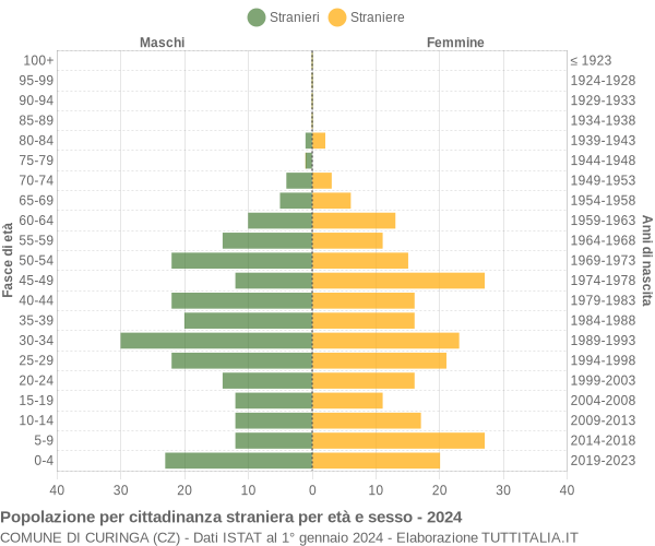 Grafico cittadini stranieri - Curinga 2024
