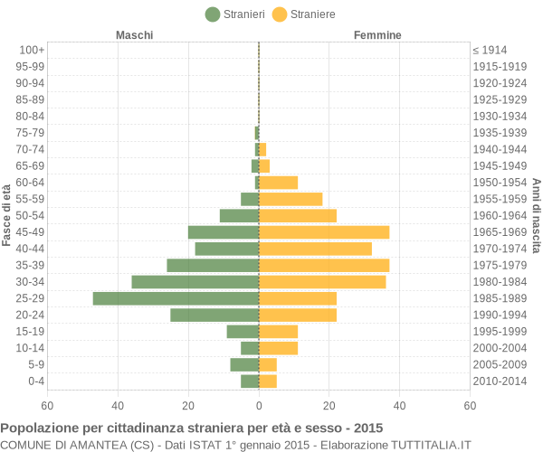 Grafico cittadini stranieri - Amantea 2015