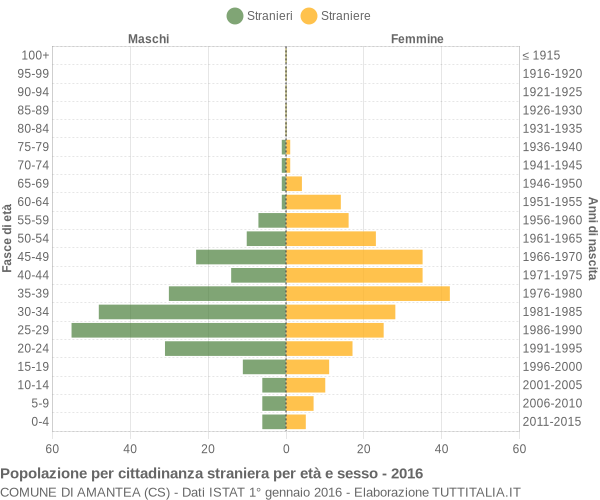 Grafico cittadini stranieri - Amantea 2016