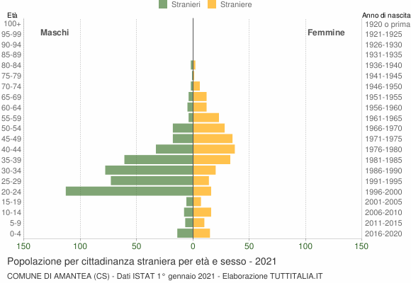 Grafico cittadini stranieri - Amantea 2021