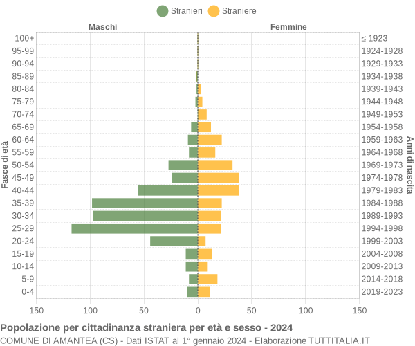 Grafico cittadini stranieri - Amantea 2024